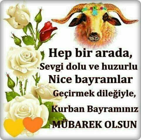 hasanva's tweet photo. Kurban Bayramınız Mübarek Olsun. .. https://t.co/6S3759LD9H