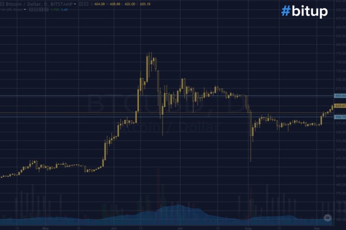 bitup_io's tweet photo. Цена #bitcoin растет! Сделав инвестицию в сейчас, вы можете получить до 156% прибыли- https://t.co/vPprD7ayFY https://t.co/twonOpmljR