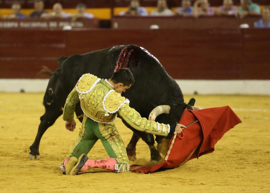 Pureza y Casta tweet media