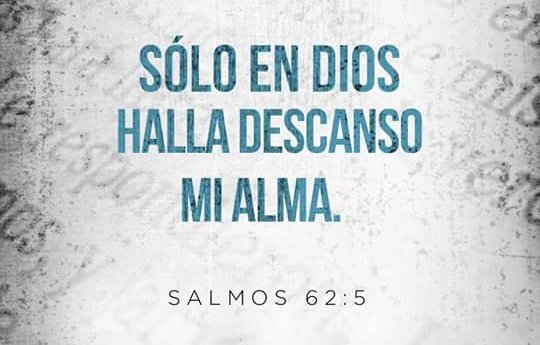 conexionadven7's tweet photo. #BuenLunes IngresaEn👉📲 https://t.co/ecfcnyucHv Una Manera Diferente d Comenzar la Semana #alabanzas #ConectaConJesus https://t.co/Yxdvxa9KtY