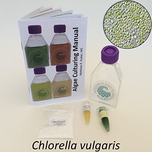 Team_Chlorella's tweet image. #Algae #Culture #Kit: #Chlorella #vulgaris by Algae #Research #Supply amzn.to/2c9vJMx @amazon #pure #vegan