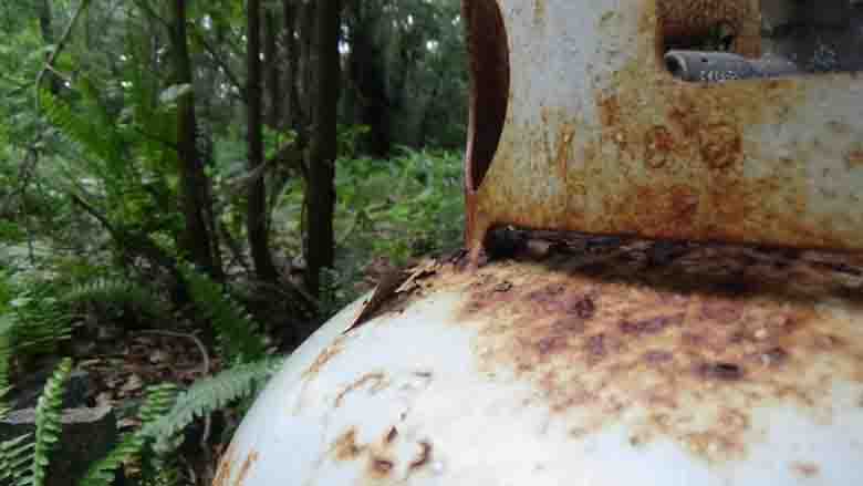 patricia yontz tweet media