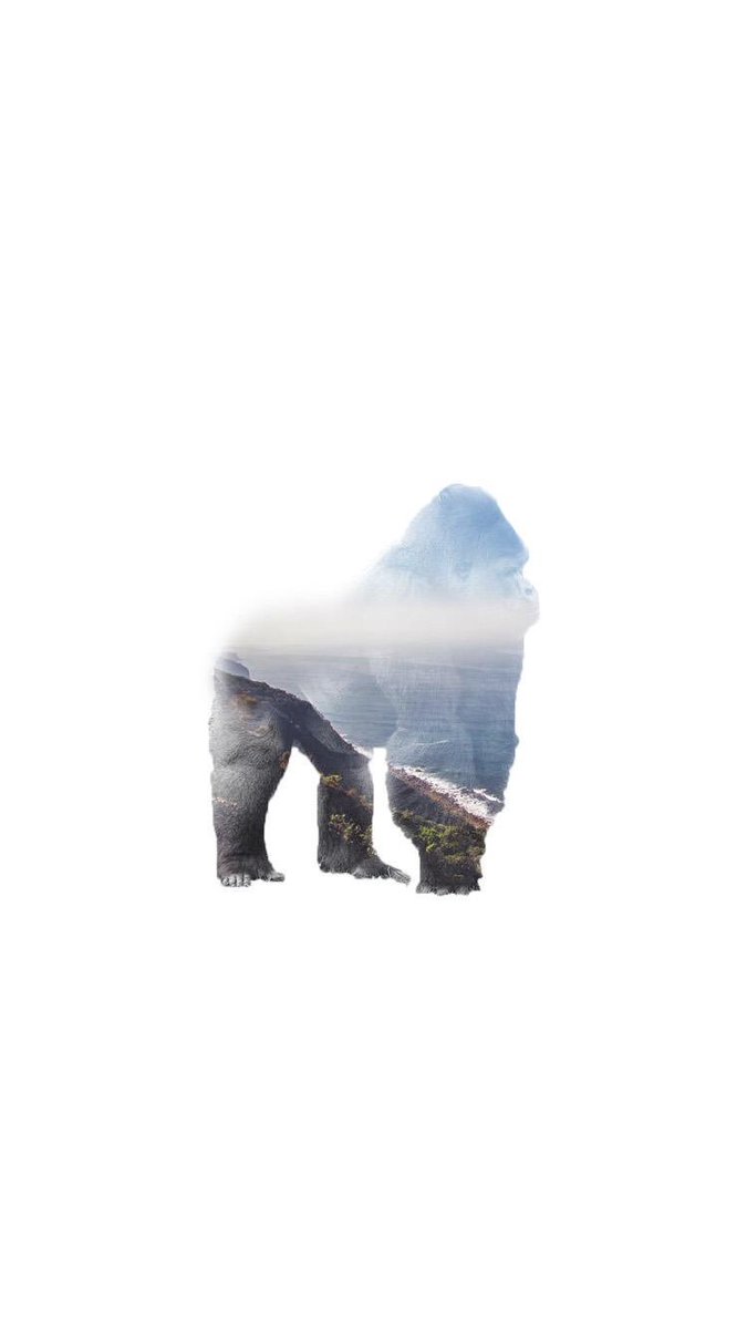 PhoneWaIlpapers's tweet photo. #RIPHarambe https://t.co/U4pF7lLZmE