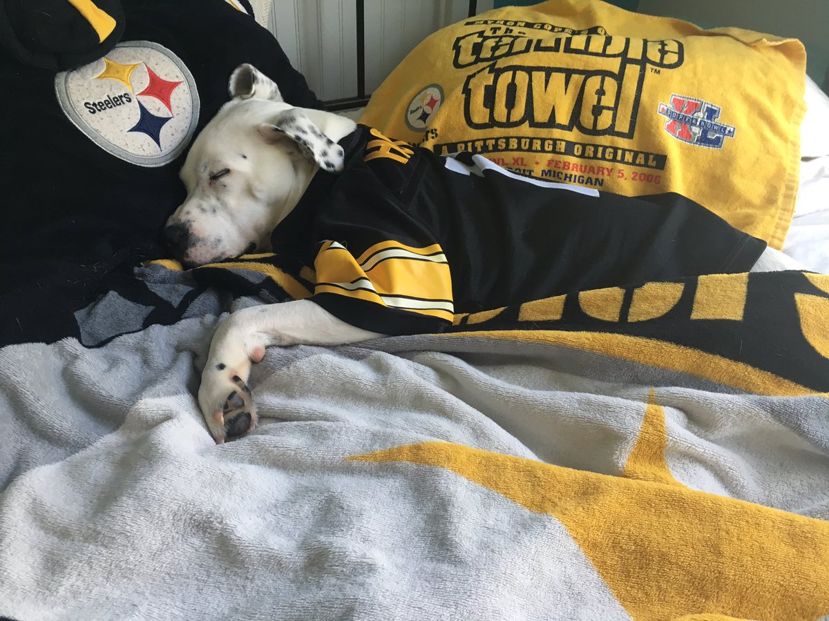 lexygarrett's tweet photo. Resting up for game 1 @steelers @WPXI @WRAL #SteelerNation #HereWeGo https://t.co/oSkeERgrcw