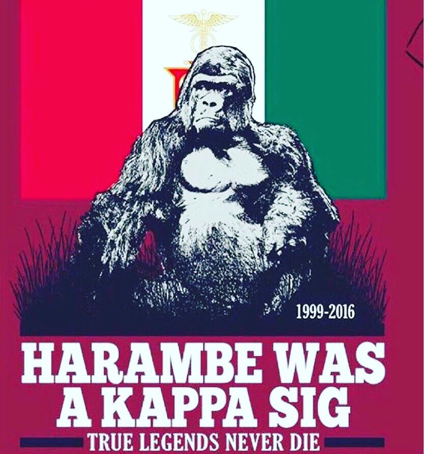 MUKappaSig's tweet photo. It's finally here! Rush week begins today with house tours starting at 5 p.m. And remember.. #RIP #RushKE https://t.co/qWcxUZT5ec