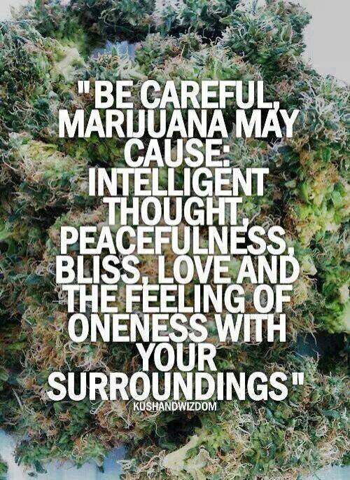 HeadShop Smokewire (@smokewire) on Twitter photo 