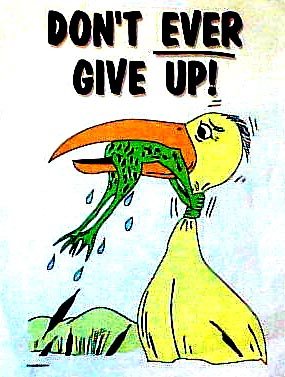 P6media's tweet photo. Failure is simply the opportunity to begin again, this time more intelligently. - Henry Ford #dontevergiveup https://t.co/7vBRwUHXtS