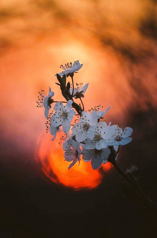 @DaaD01 <a href="/bobbygreyone/">Tracy Harris</a> <a href="/layebin/">Abdoulaye Sall</a> <a href="/val_fina/">Fina Val</a> <a href="/hennen35/">Hennen Silblak</a> @MsHardlanding2 @MonSitePhotos <a href="/alina/">alina</a> <a href="/dosik563121/">❤️VALENTINA❤️</a>