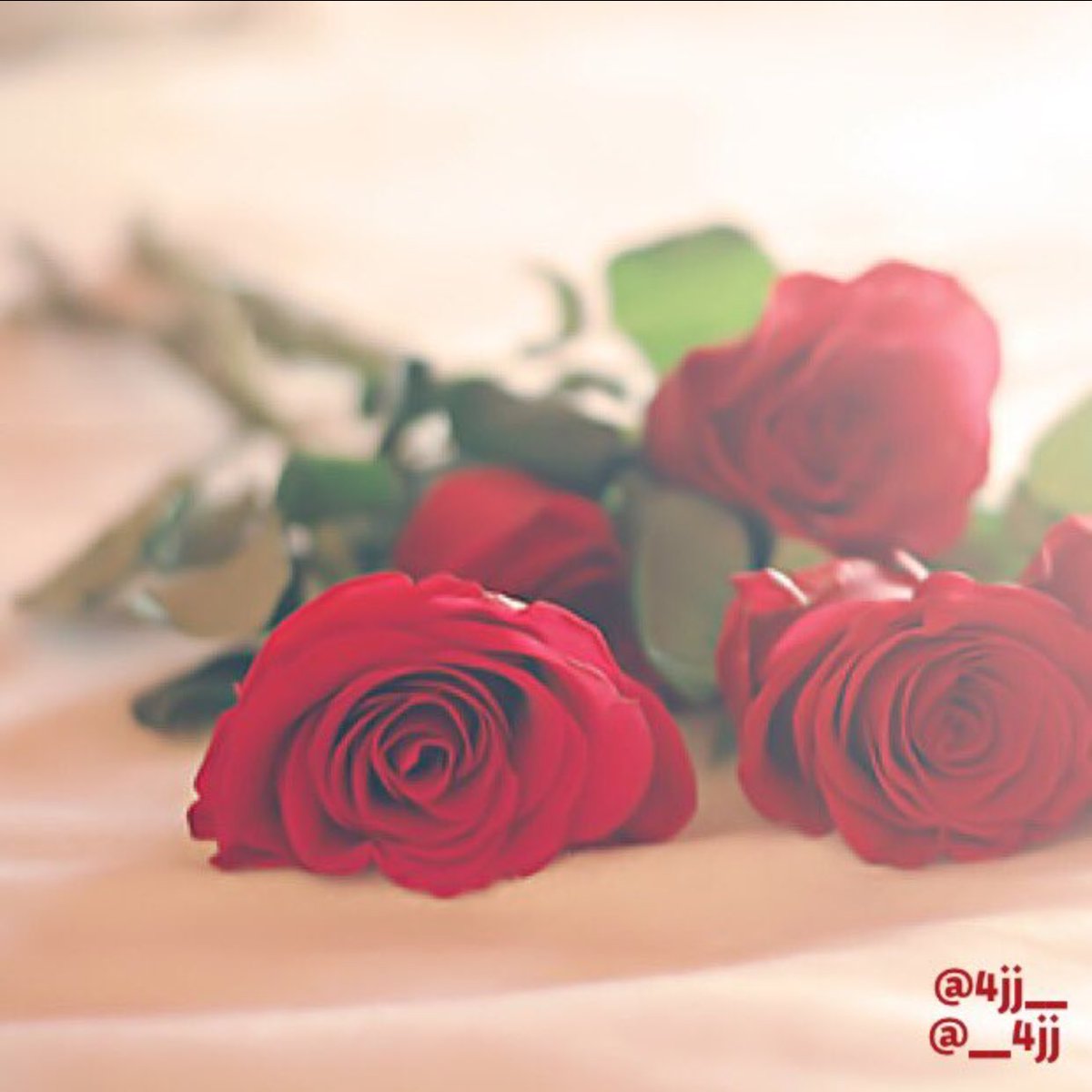 العيون السود (@nofh___23) on Twitter photo 