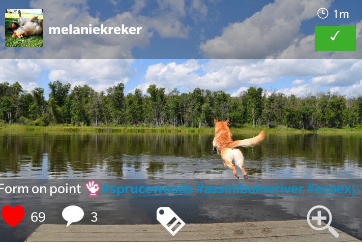 ecoexploremb's tweet photo. Great shot by our grand prize winner from Instagram @melaniekreker. You have won the Eco Explore grand prize package https://t.co/OuwU4YLSrE