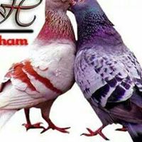 ftft87's tweet photo. https://t.co/CIPC1GFvog