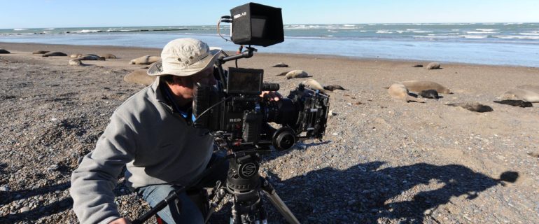 Rada Tilly será sede de la Muestra de Cine Latinoamericano Polo Sur radatillynoticias.com/rada-tilly-ser…