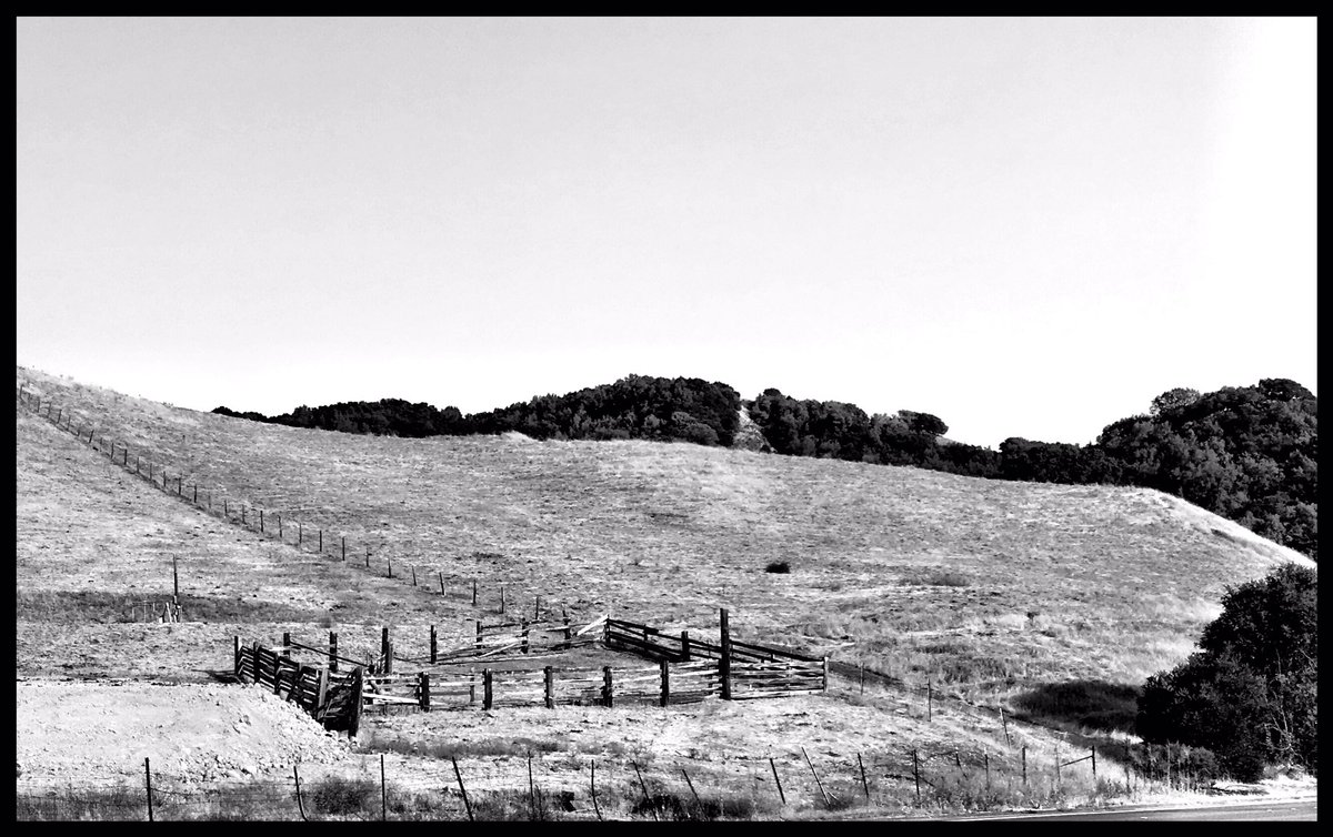CVLegends's tweet photo. #cvlegends #cv #castrovalley https://t.co/h1HVX2bB7V