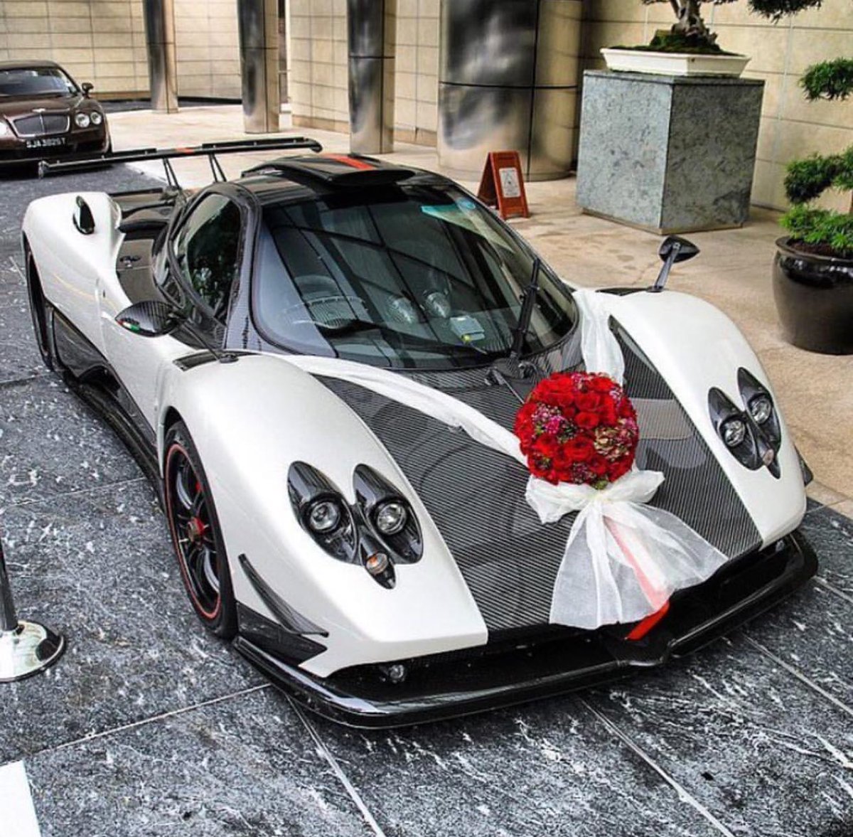 NextLevelLux's tweet image. Yes please 🎀