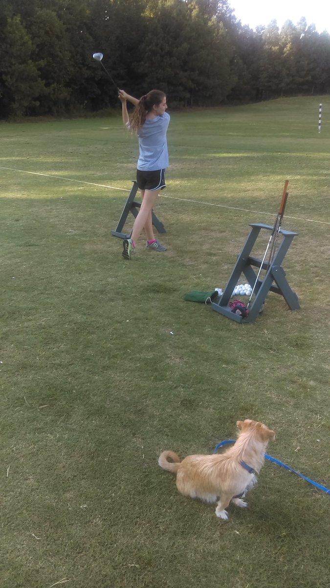 DFuller12's tweet image. Carla and Tuckerdog on the range. 
#shedidgood
#hedidtoo