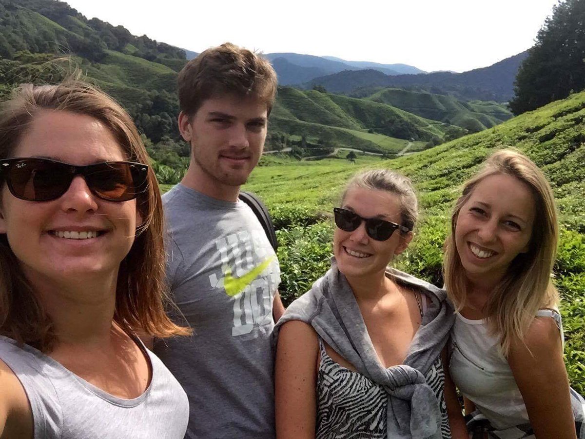 CalloudMathilde's tweet photo. Plantation de thés à perte de vue ! 🇲🇾😍 https://t.co/Pe10Lx8Ru5