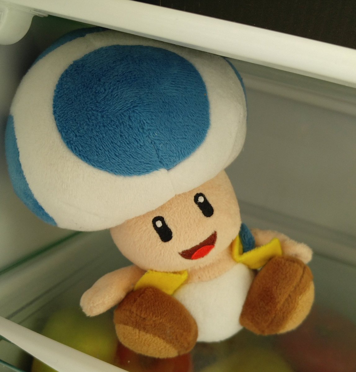 DerPiuus's tweet photo. Bei Hitze Hilft nur Kühlschrank! #ToadPhoto https://t.co/07V5sckC30