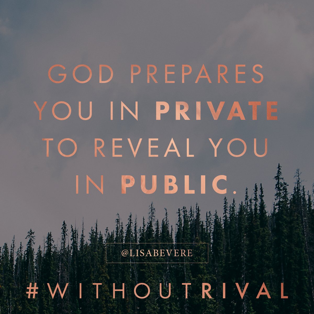 LisaBevere's tweet photo. God had David defeat the lion and the bear in PRIVATE before He had him defeat Goliath in PUBLIC. #WithoutRival https://t.co/Ij6nnagvLx