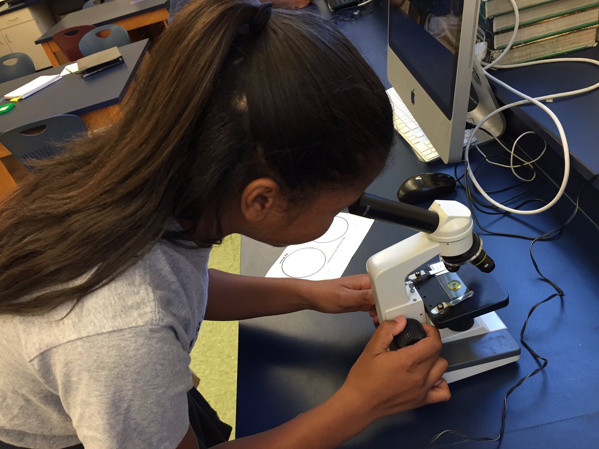 MrBHardyAP's tweet photo. @HardyMSHawks refining their microscope and observation skills. https://t.co/cMpGr6jjJG