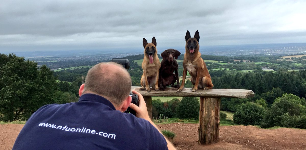 Mat Dixon tweet media