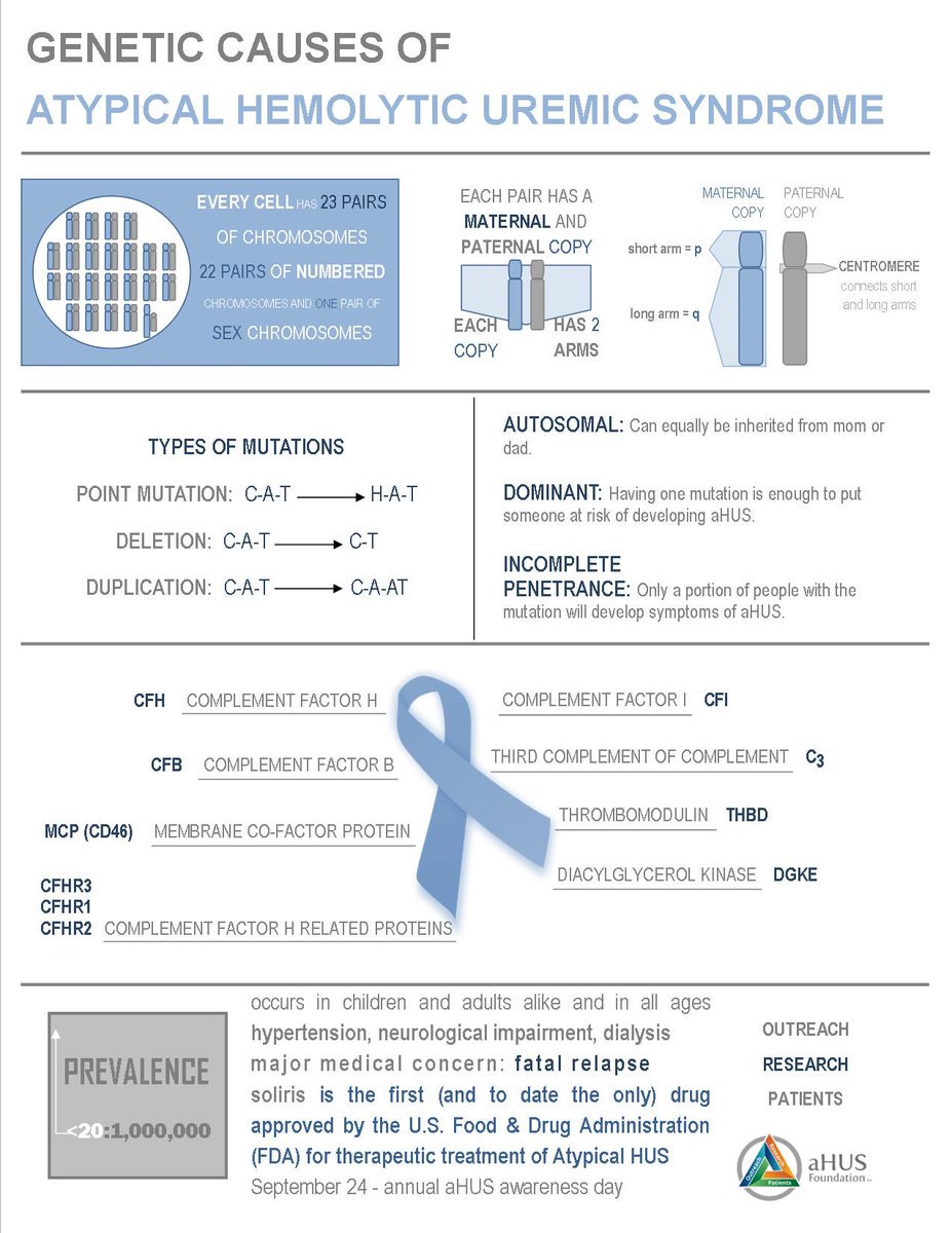 fourferreiras's tweet photo. Here's a quick way to help others (including doctors) understand aHUS. #ahusstrong #ahusawareness #ahusfoundation https://t.co/zlFqEvfRkD