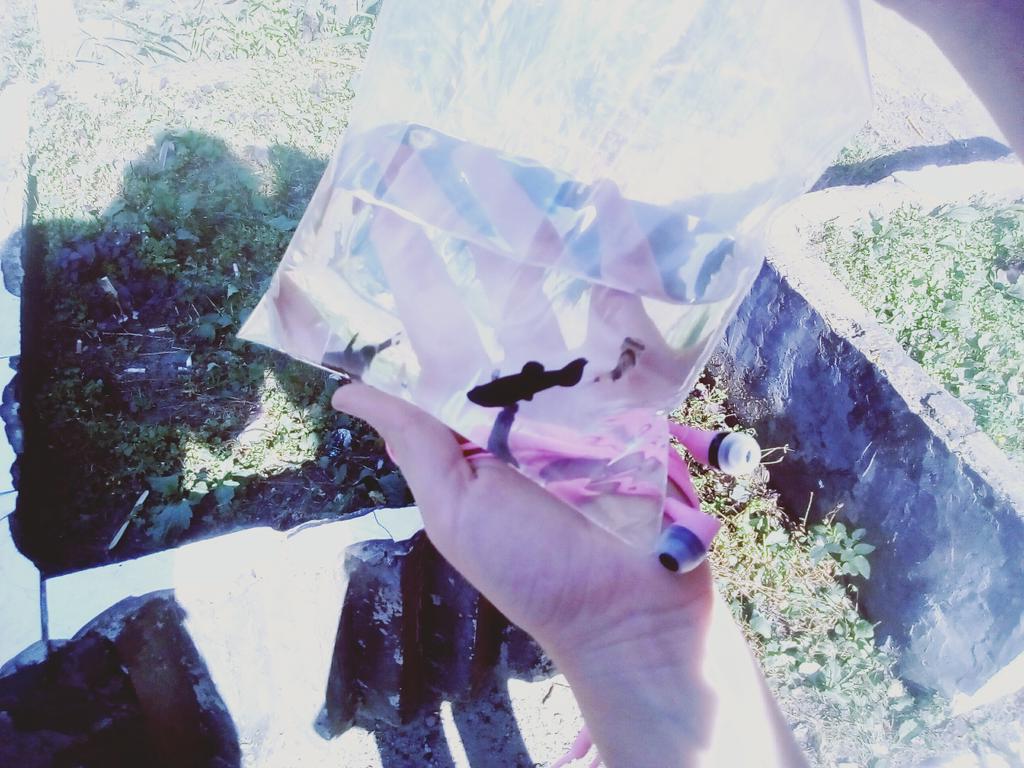 toothdevil4's tweet image. Заводим новых френдс ✨🙌🐠