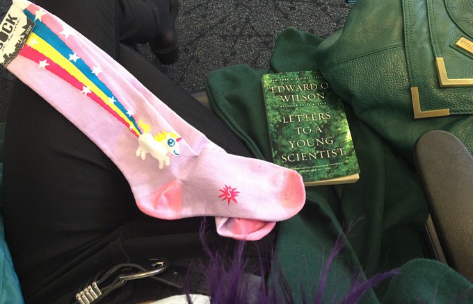 😎 jetting back to Orlando, cute I want to whip someone and pull My feet out of leather boots with these<a href="/tag/wildgoddess"class="tags"><span>#wildgoddess</span></a><a href="/tag/settingrecords"class="tags"><span>#settingrecords</span></a>