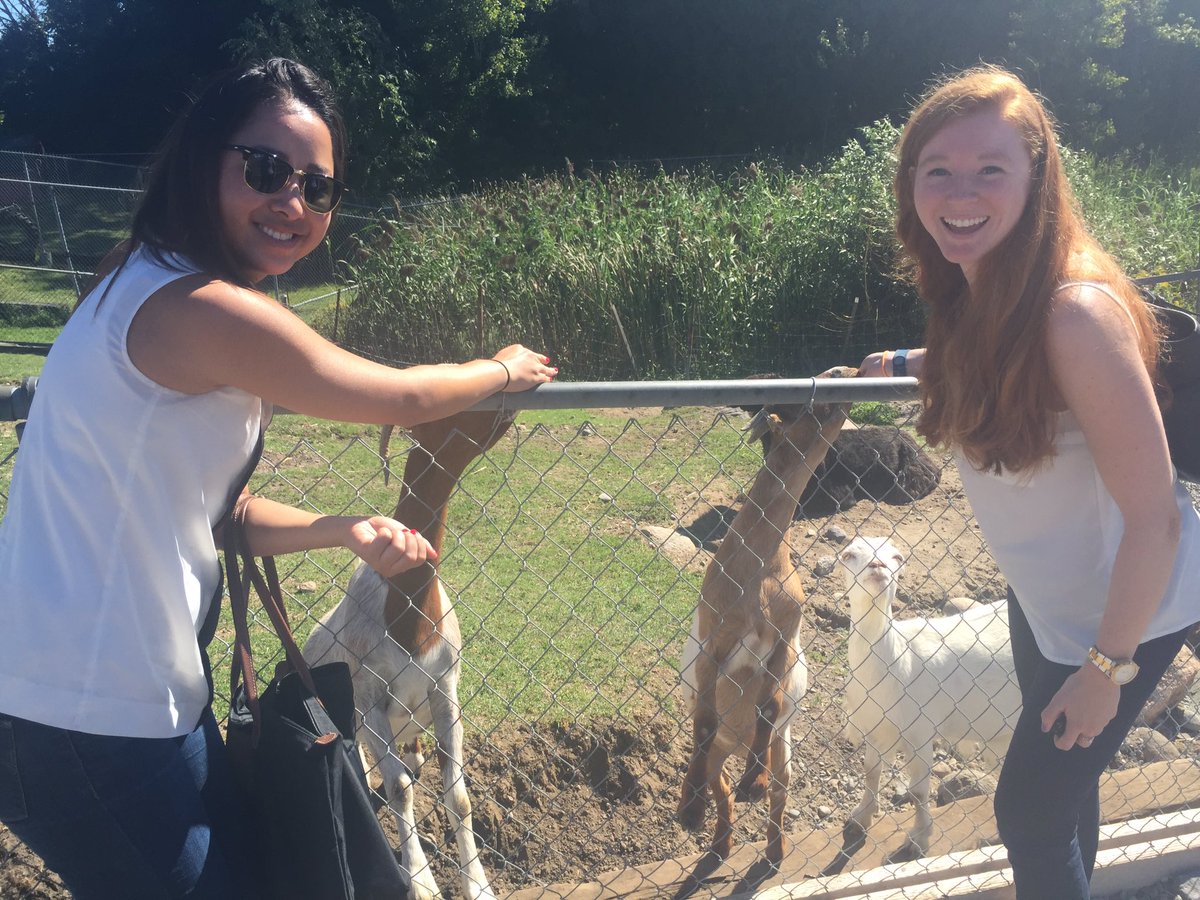 EYLauraP's tweet photo. First time at the big apple! Made some new friends 🐐 #EYfam @EYJoys @EYKates https://t.co/DyR9mhFPWX