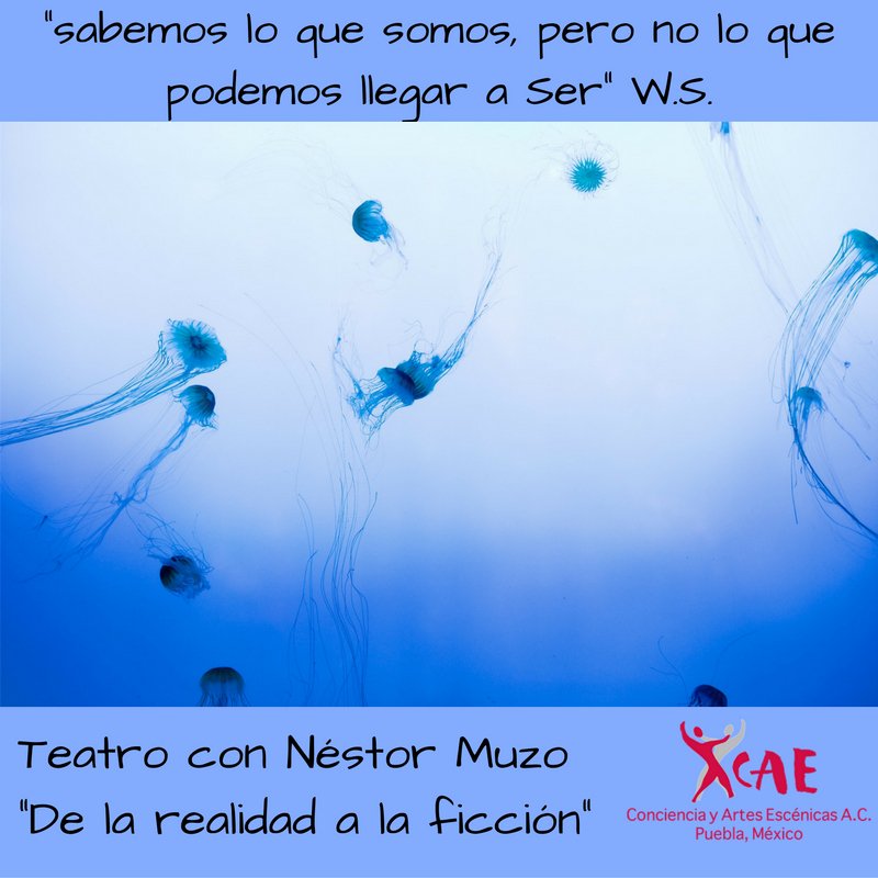 caepuebla's tweet photo. Ve más allá de tus límites! Conócete para poderte transformar https://t.co/aYqfkpzM5g
