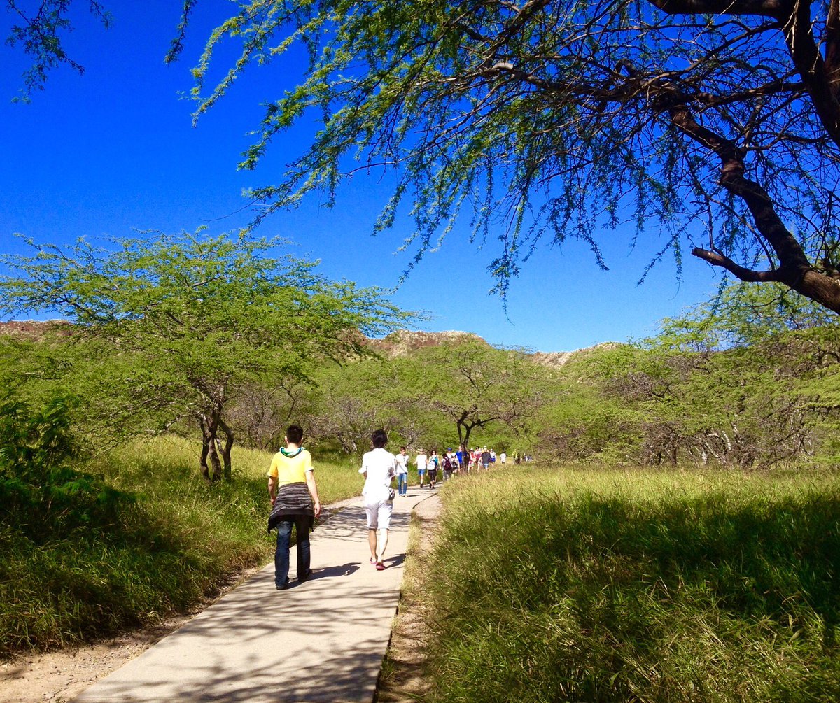 WaikikiTrolley's tweet photo. Have you ever climbed to the top of #DiamondHead ? You can get to the beginning of the trail on #GreenLineTrolley https://t.co/JGf4c6TWmB