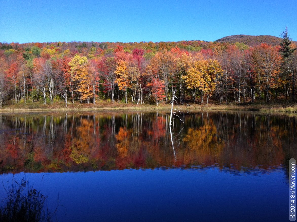 Ecopixel's tweet photo. #Fall is a wonderful time to explore land conserved by hard-working, local #Vermont #landtrusts! #foliage #VT https://t.co/Tb6yE6VNBb