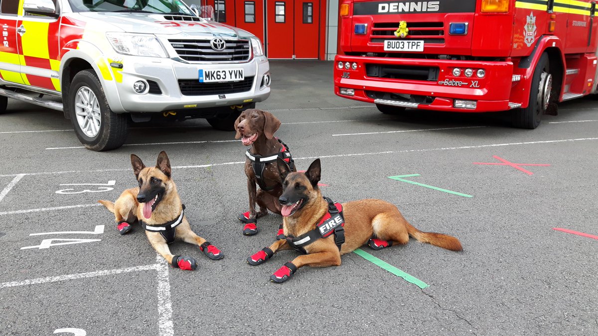 Countryside tweet media