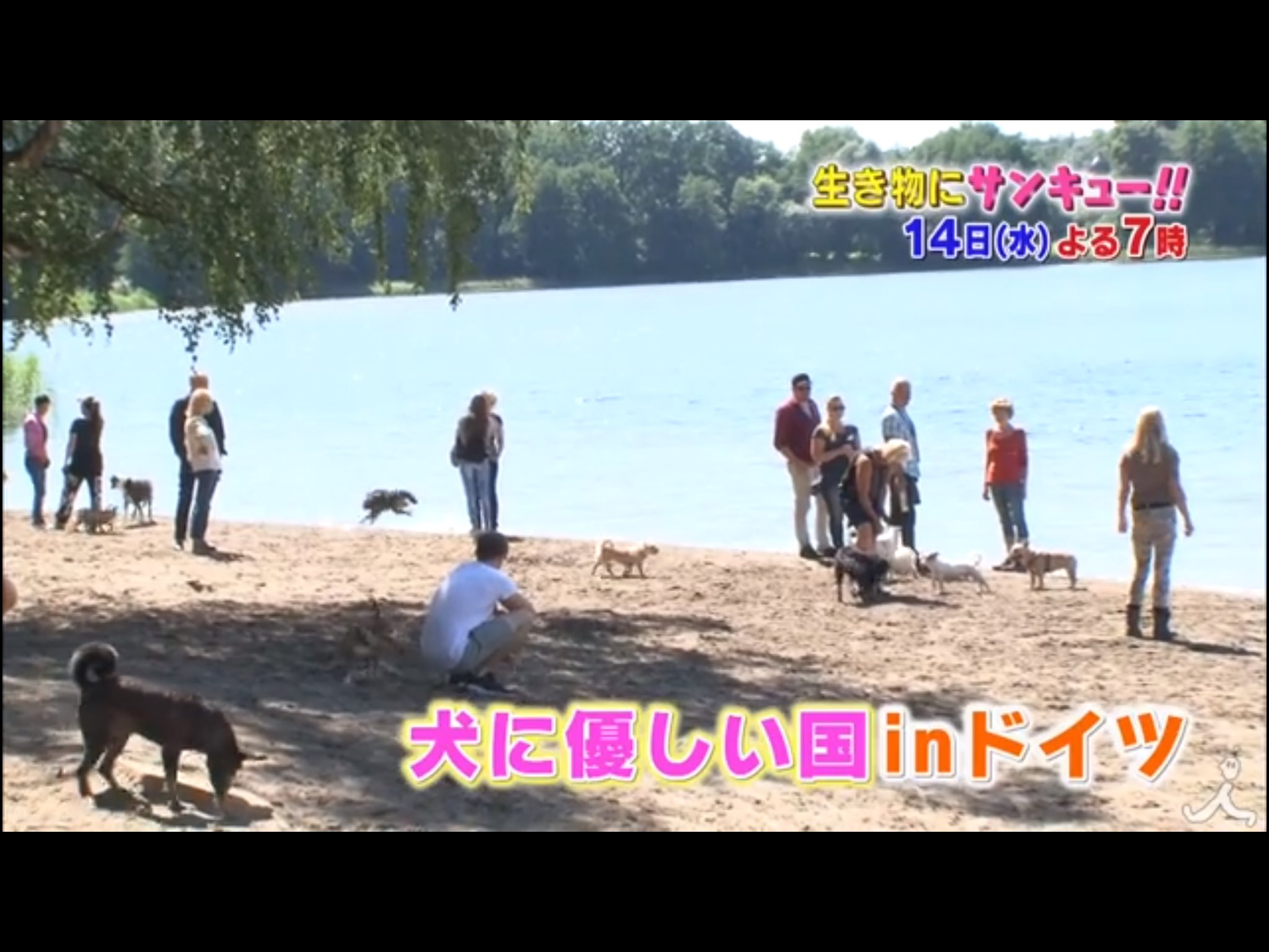 生き物にサンキュー ペット先進国のドイツは殺処分ゼロの国 ペットに優しい国を徹底調査 日本と違う子育て方とは 14日水曜よる7時から放送 生き物にサンキュー 2時間sp をぜひご覧ください ペット 犬 猫 殺処分ゼロ ドイツ Tbs T Co