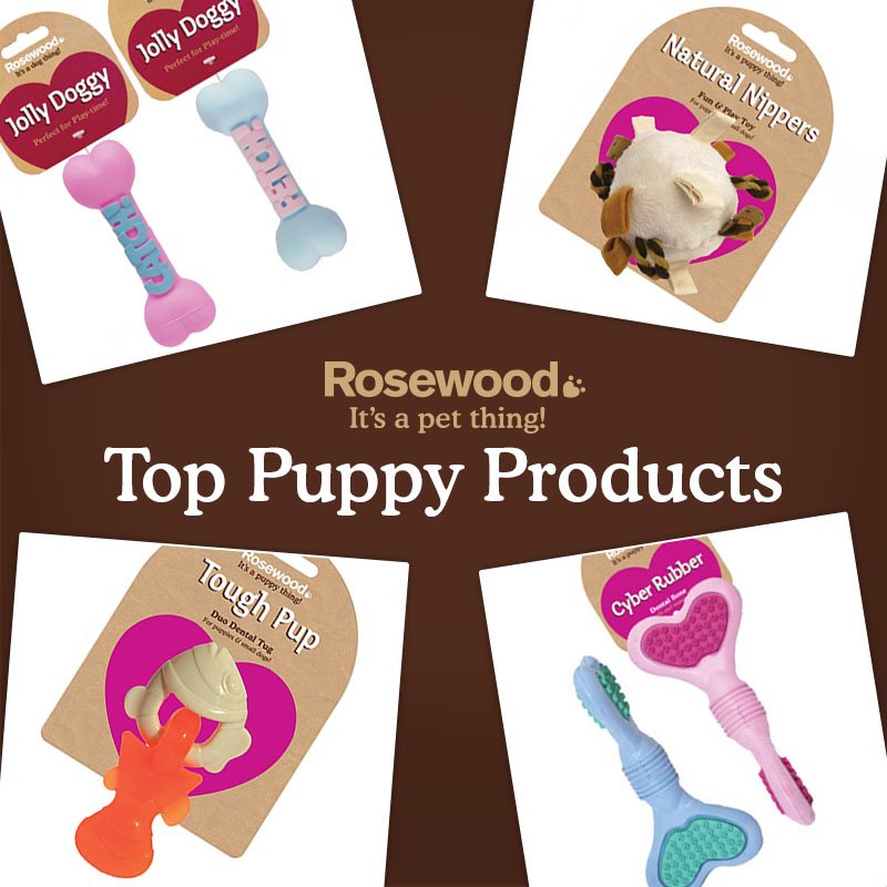 Wild Bird products from Rosewood. Rosewood Pet