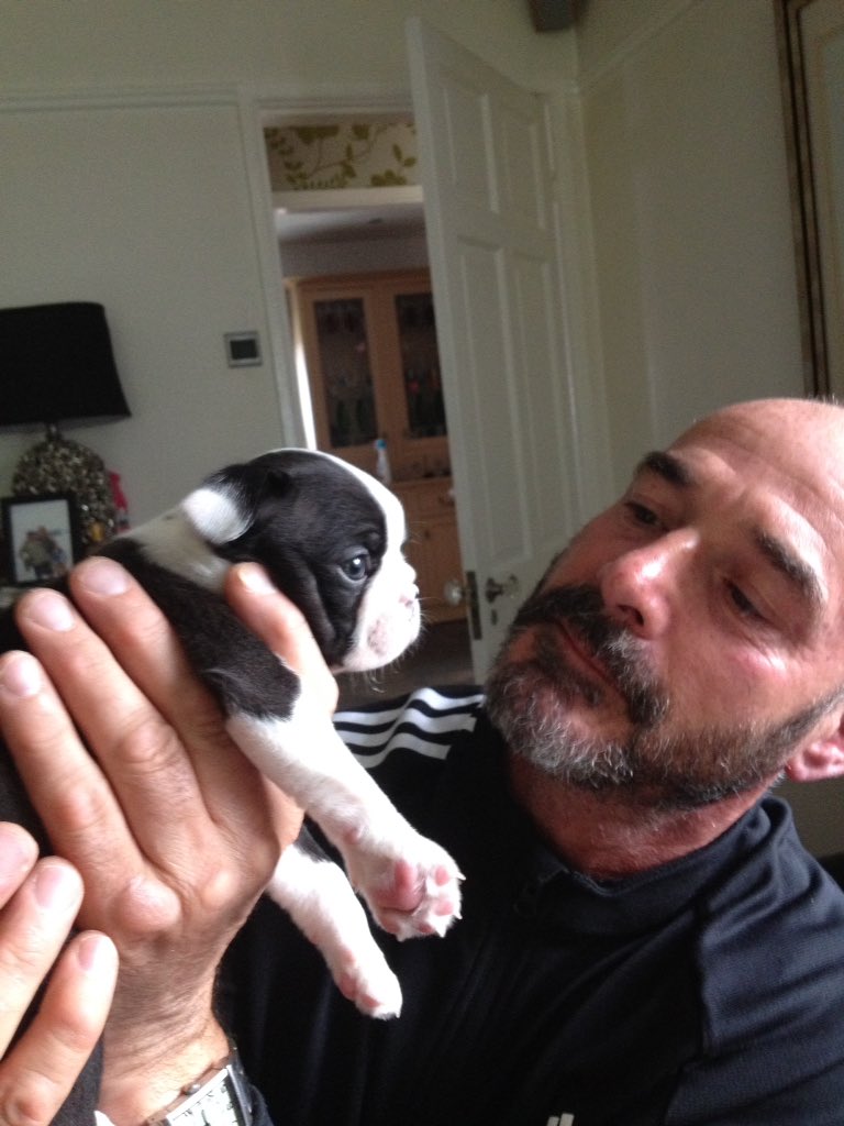 mootsink's tweet photo. Crumpet got cuter! (Now 4 weeks old) ❤️❤️❤️❤️❤️ @8bitnortherner https://t.co/PQWDEbWcyr