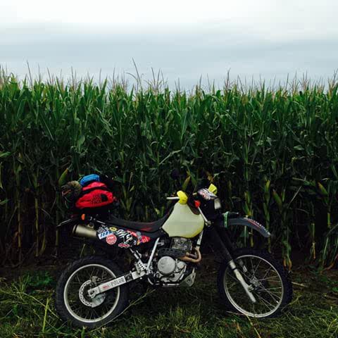 HerlandGo's tweet photo. Idaho - Is just about : Corn, Pine and Cow. https://t.co/y8sodz9aph