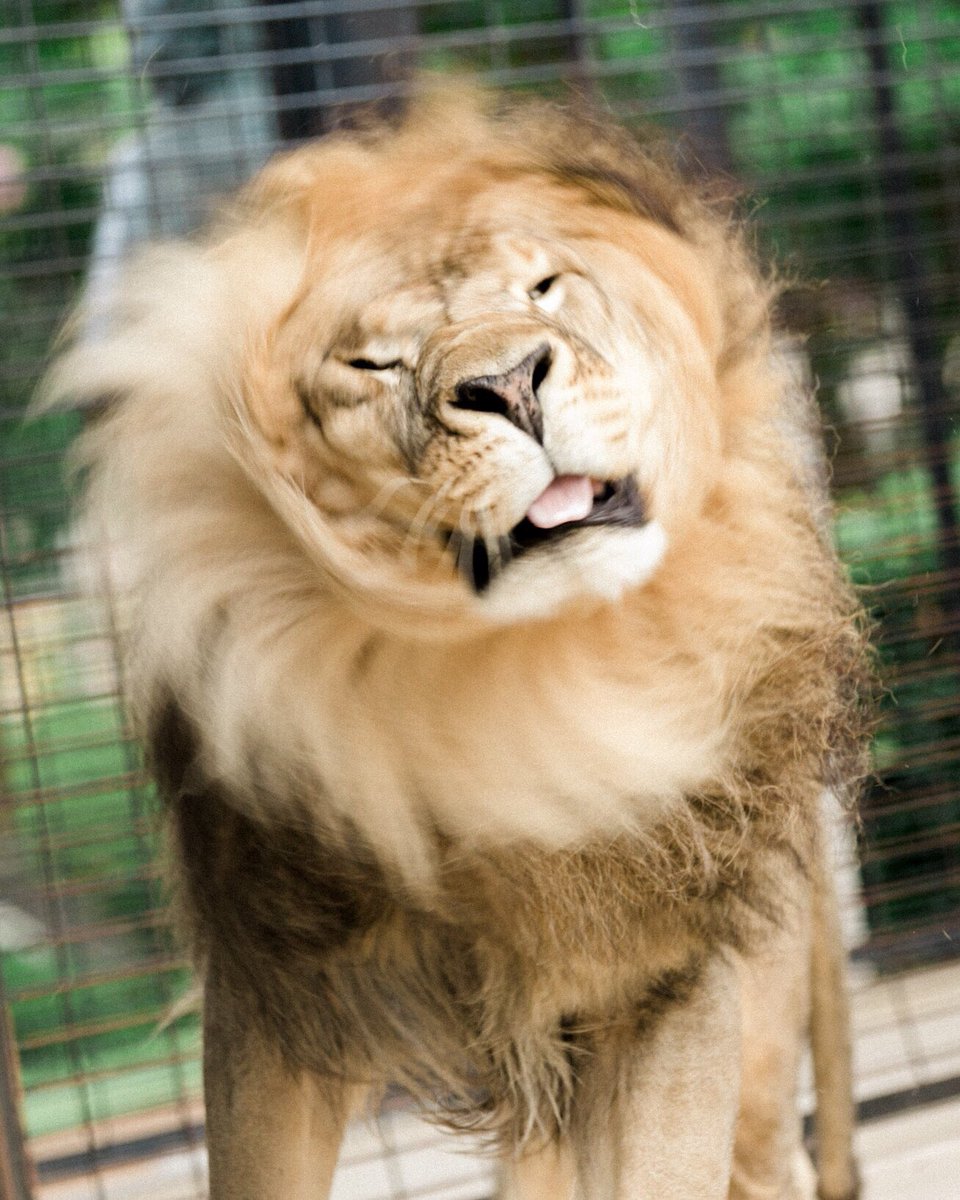 University of North Alabama tweet media