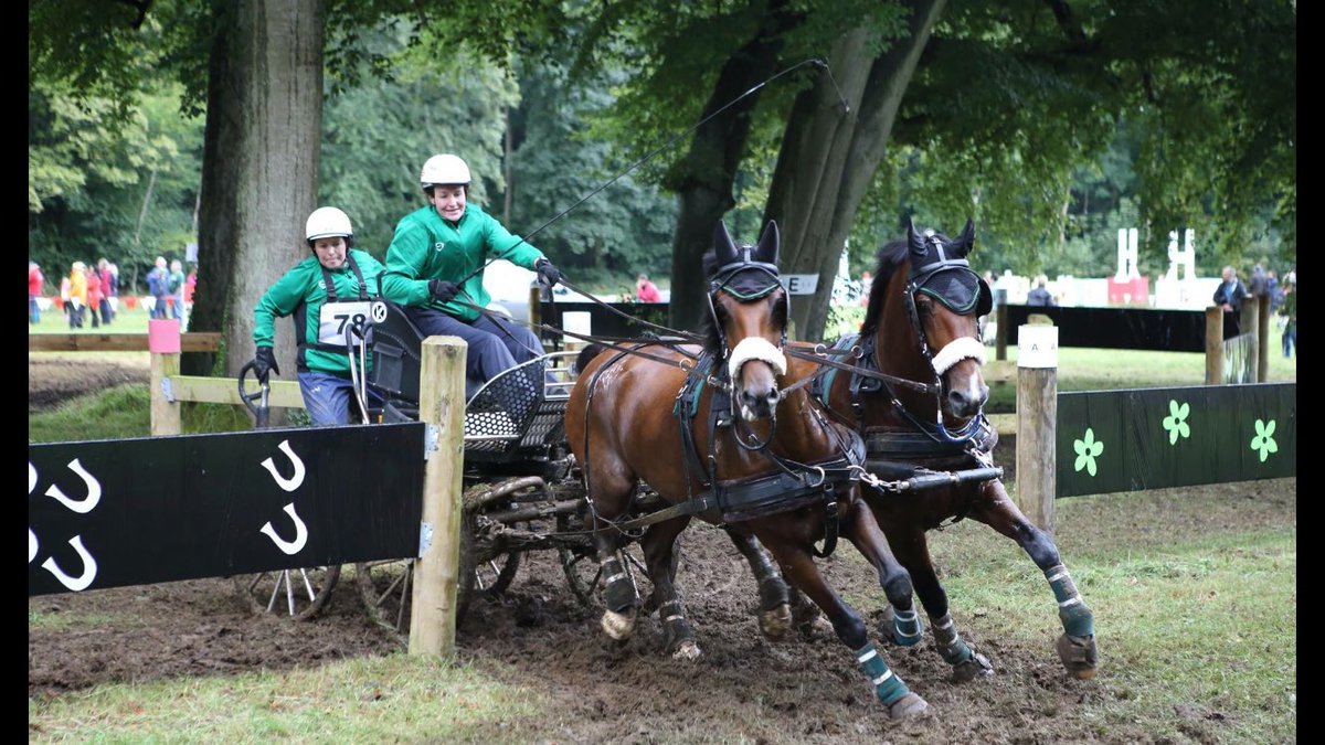 LibbyPriest's tweet photo. Advanced Horse Pairs Reserve National Champion &amp; National Points league champion.Thanks 4 ur support #iomsteampacket https://t.co/dkrBRo6o3n