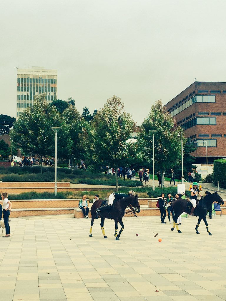 Polo.    
Outside the Forum.

#onlyinExeter