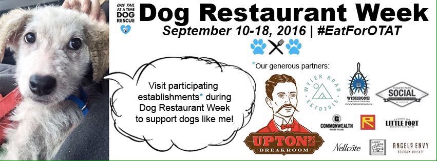 TheBestLoop's tweet photo. Hey Neighbors! PLEASE support @onetailatatime and dine @nellcote833 & @WishboneWash (9/10-9/18) π΄πΆ #EatForOTAT https://t.co/SnuYhRGodK