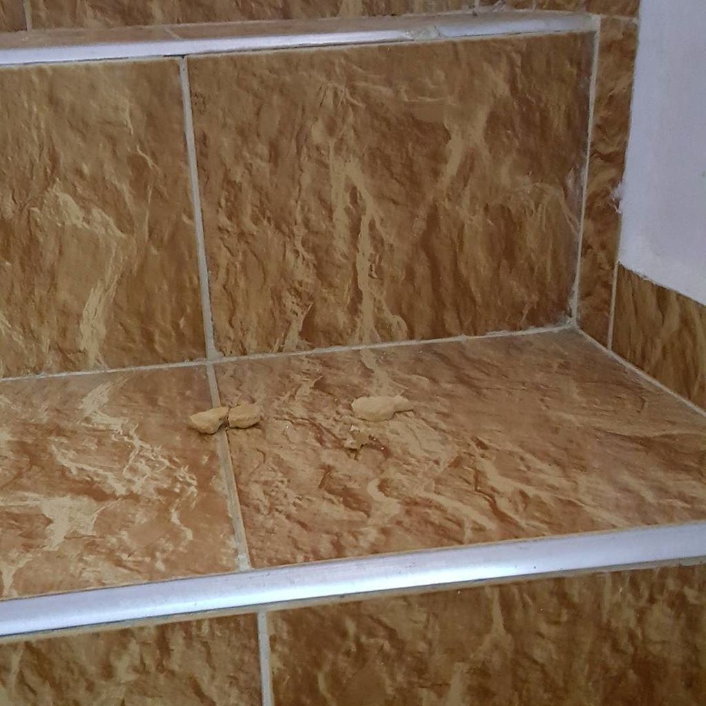 Brookolie's tweet photo. On most days huge abandoned cookie crumbs on the stairs would  upset me, but on eid... alh… https://t.co/5CymWVESwW https://t.co/rtjQCMcgE9
