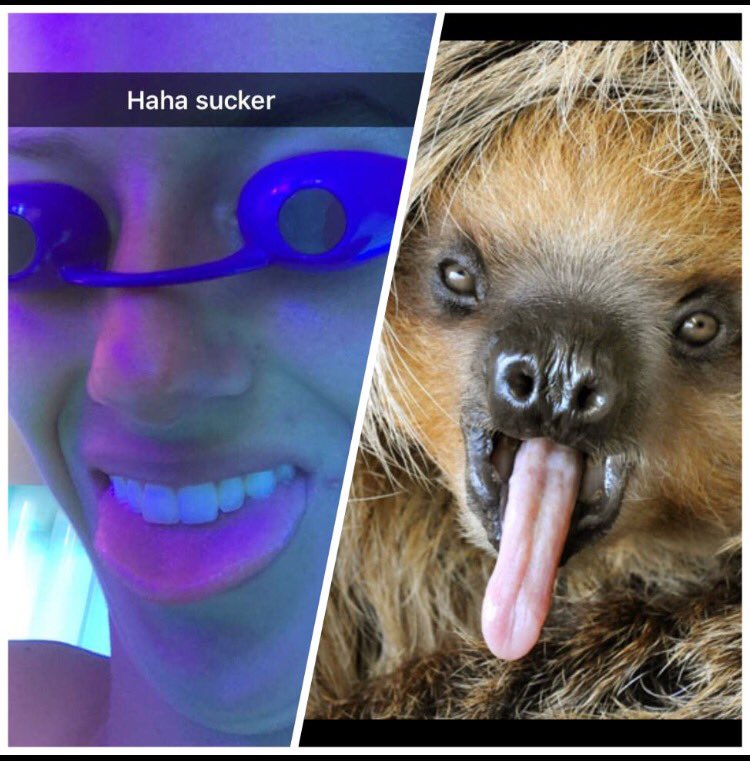 NBPROM2k14's tweet photo. Bailey and this sloth https://t.co/FbWErjJM1Z