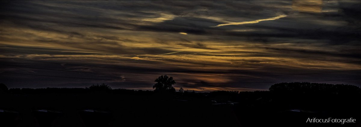 arifocusfoto's tweet photo. On the road
https://t.co/IWwB1WbrUD https://t.co/GRJjdmGVRy