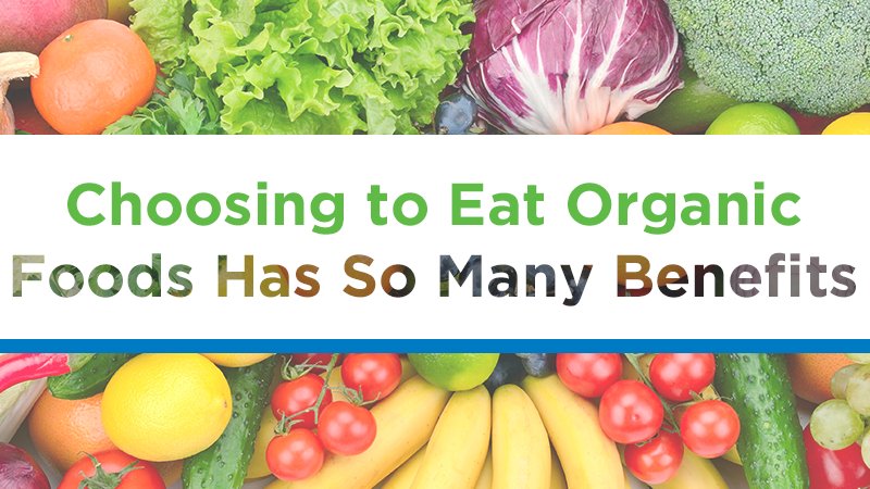 Turleys_Boulder's tweet photo. Incorporating #organic foods into your diet has some great benefits! https://t.co/aMB5y3WBoe https://t.co/o67MPrV7Nq