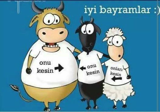 DoruSzler's tweet photo. Bayramaniz mubarek, dualariniz kabul olsn :) https://t.co/RtlI1W0ORl