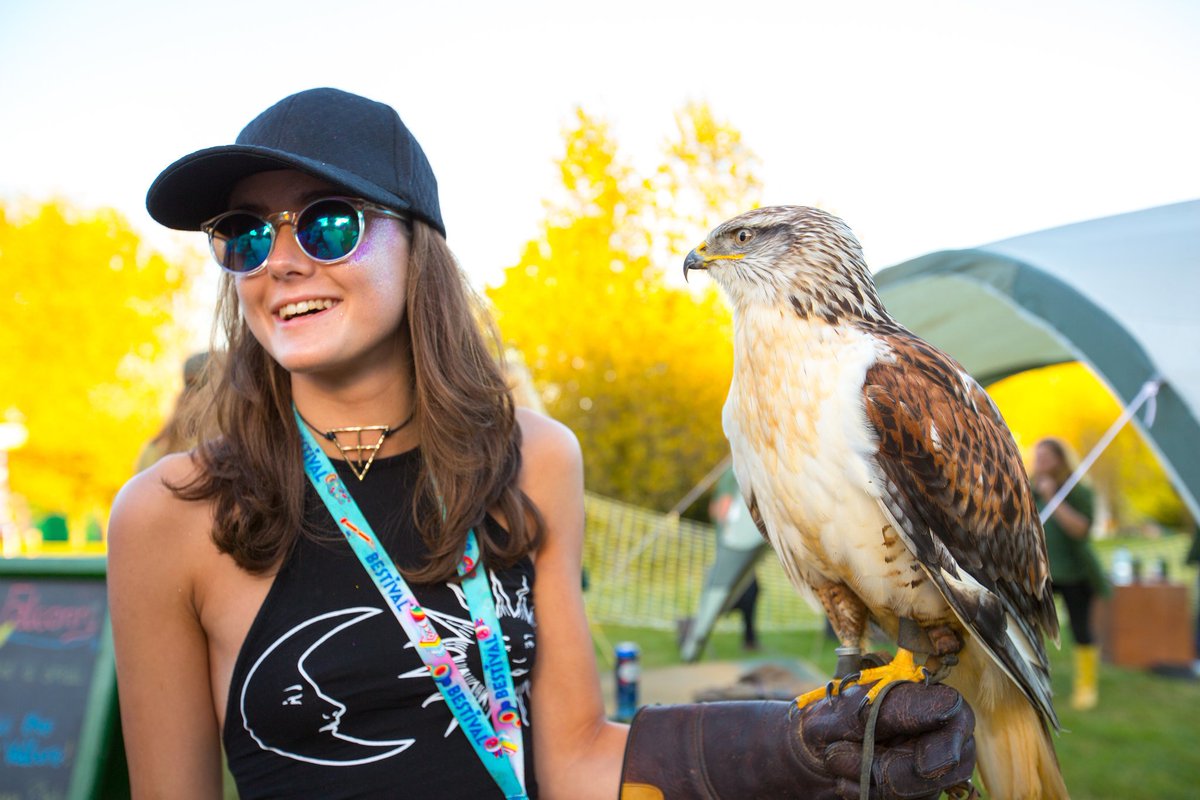 Bestival's tweet photo. Loved having @HavenFalconry back in Slow Motion! #Bestival16 https://t.co/BfvGq8HMCV