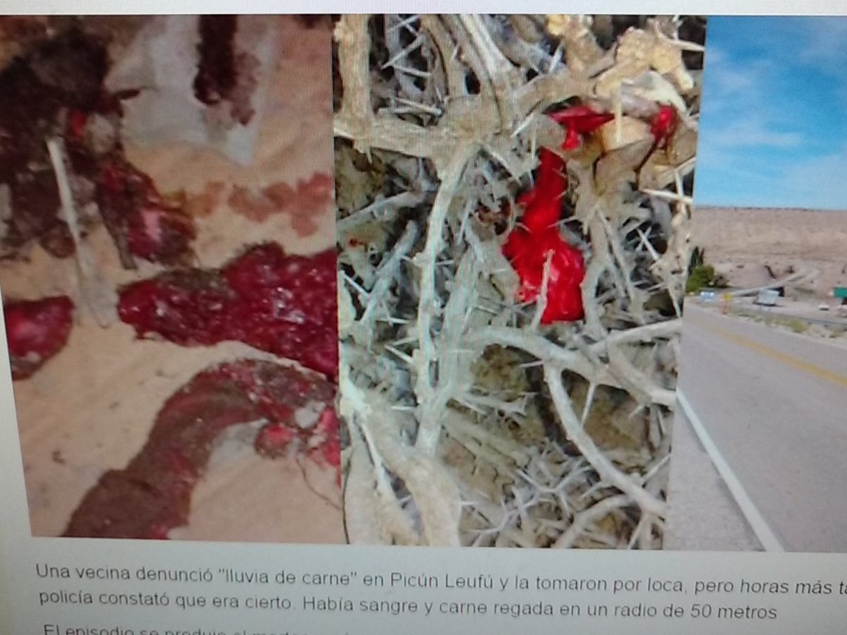 La90informa tweet media