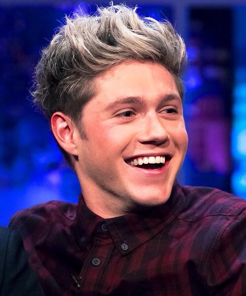 1DTiana's tweet photo. #HappyBirthdayNiall <3 @NiallOfficial https://t.co/HxRnIIyTKK