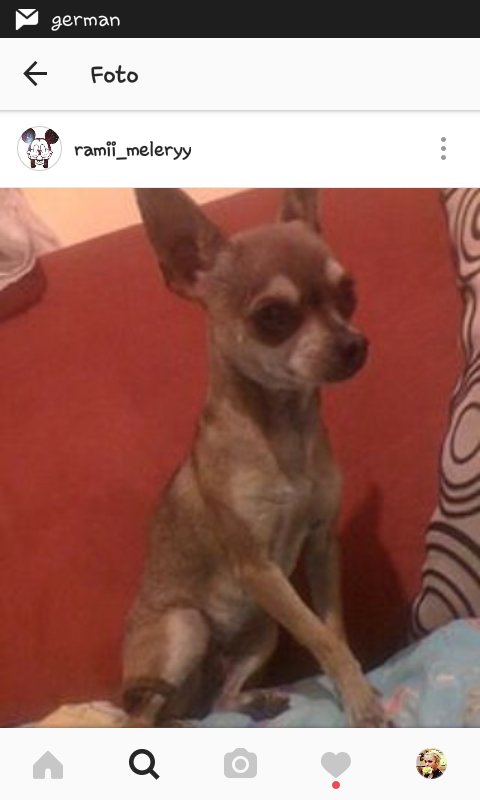 fancydoblass's tweet photo. RT PARA DIFUNDIR
¿GERMAN ELLA ES MIMI? @GermanGarmendia #dondeestamimi DINFUNDIR PARA QUE LO VEA https://t.co/onatdJJD6m