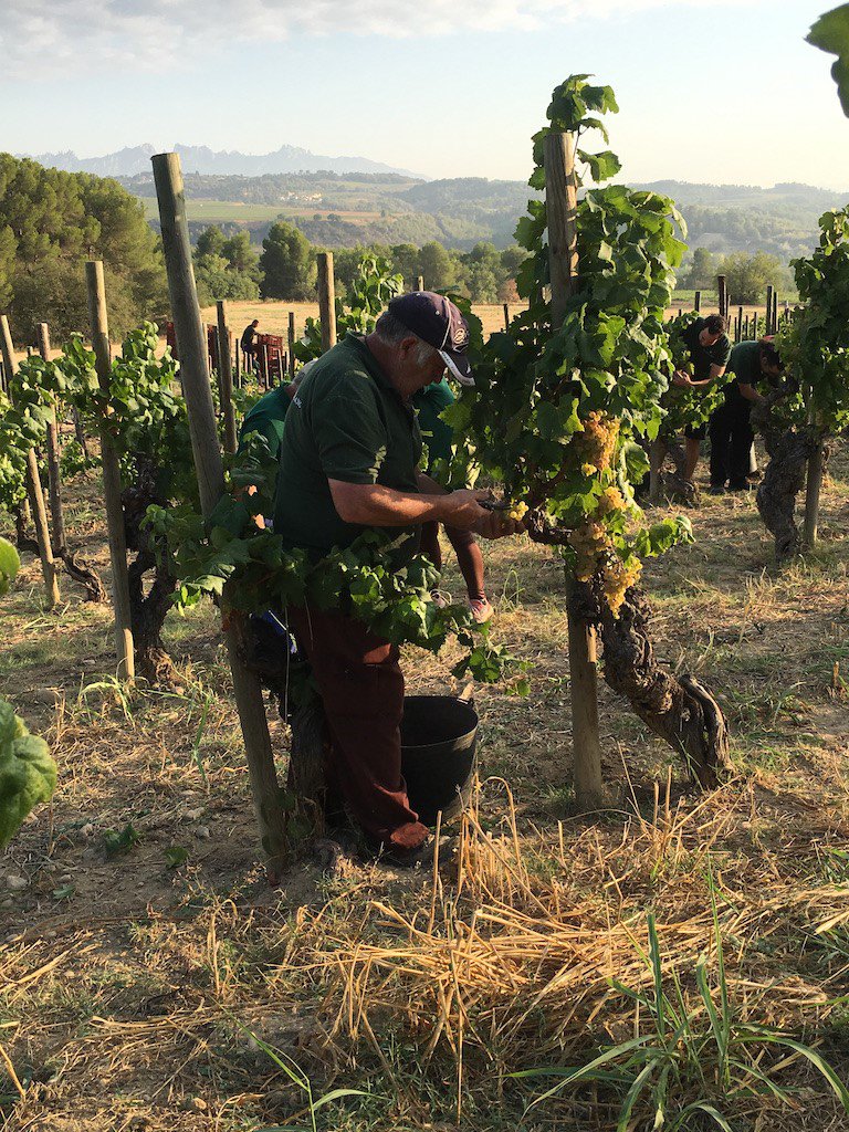 Advintage Dist. SC tweet media